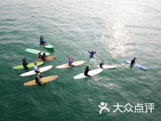 逗小猴开心系列165